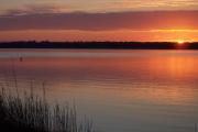 Photo: Carolina Beach State Park