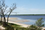 Photo: Carolina Beach State Park