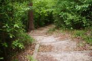 Photo: Cliffs of the Neuse State Park