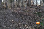 Photo: Eno River State Park
