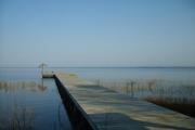 Photo: Lake Waccamaw State Park