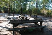 Photo: Lake Waccamaw State Park