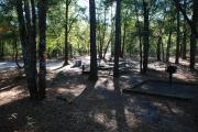 Photo: Lake Waccamaw State Park