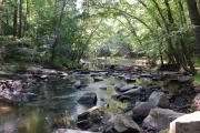 Photo: William B. Umstead State Park