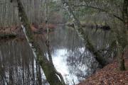 Photo: Lumber River State Park