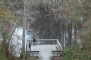 Photo: Lumber River State Park