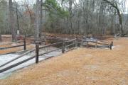 Photo: Lumber River State Park