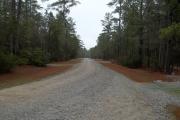 Photo: Lumber River State Park