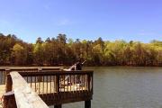 Photo: Lake Norman State Park