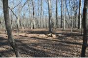 Photo: Morrow Mountain State Park