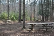 Photo: Morrow Mountain State Park