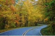 Photo: Mount Jefferson State Natural Area
