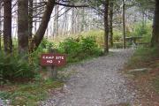 Photo: Mount Mitchell State Park