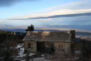 Photo: Mount Mitchell State Park