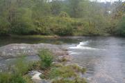 Photo: New River State Park