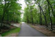 Photo: Pilot Mountain State Park