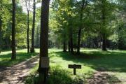 Photo: South Mountains State Park