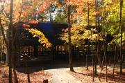 Photo: Stone Mountain State Park