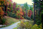 Photo: Gorges State Park