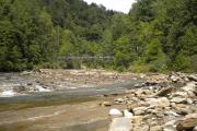 Photo: Gorges State Park