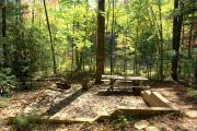 Photo: Gorges State Park