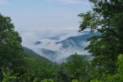 Photo: Gorges State Park