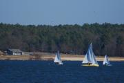 Photo: Jordan Lake State Rec Area