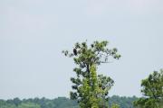 Photo: Jordan Lake State Rec Area
