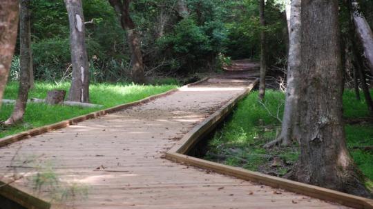 Campground Details - Carolina Beach State Park, NC - North ...