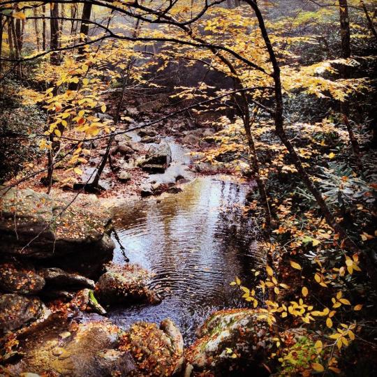 Campground Details - Grandfather Mountain State Park, NC - North ...