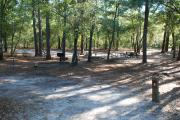 Campground Details - Lake Waccamaw State Park, NC - North Carolina ...