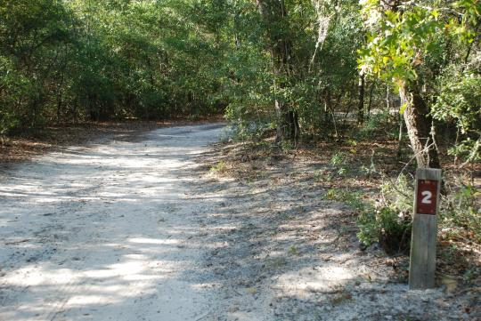 Campground Details - Lake Waccamaw State Park, NC - North Carolina ...